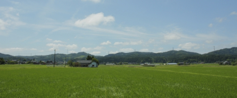 となみ野