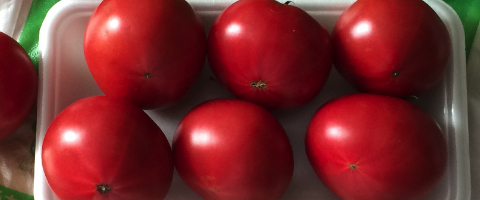 常温で熟成した深層水トマト
